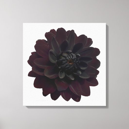 Moderne Schwarze Blume Leinwanddruck (Vorderseite)