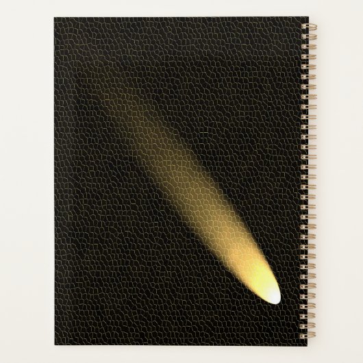 Moderne schwarze Leder- und Comet-Straßen Planer (Rückseite)