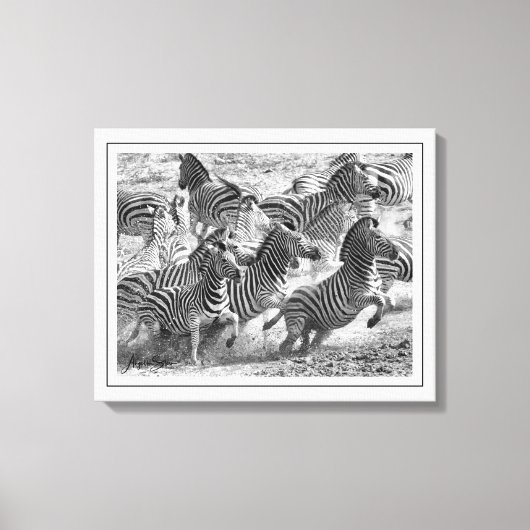 Moderne Schwarzweiß-Fotografie Kunst Zebra Leinwanddruck (Vorderseite)