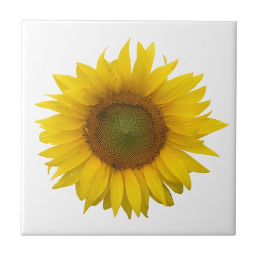 Moderne Sonnenblume Einfach rustikal Fliese (Vorderseite)