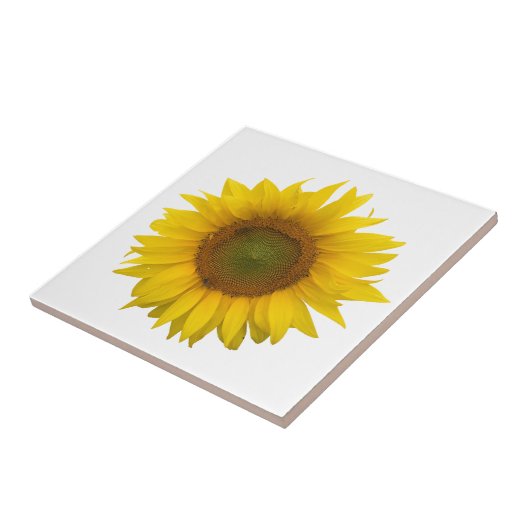 Moderne Sonnenblume Einfach rustikal Fliese (Seite)