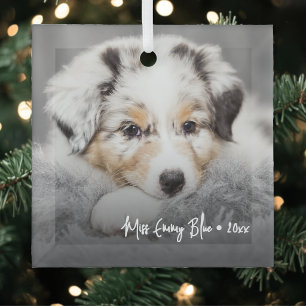 Moderne Spielend Einfache Elegante Haustier-Foto Ornament Aus Glas