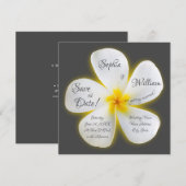 Moderne Square Weiße Plumeria Blume Save the Date Einladung (Vorne/Hinten)
