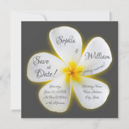 Moderne Square Weiße Plumeria Blume Save the Date Einladung