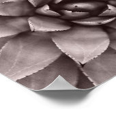 Moderne Sukkuline Print Poster (Ecke)