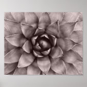 Moderne Sukkuline Print Poster (Vorne)