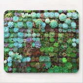Moderne Sukkuline Sammlung Grün botanisch Mousepad (Vorne)