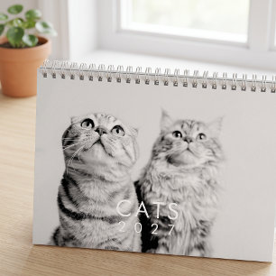 Moderne süße lustige Haustier Kätzchen Katzen Foto Kalender