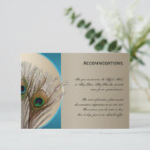 Moderne Taupe Aqua Pfauenunterkünfte Karte (Stehend Vorderseite)
