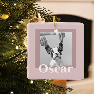 Moderne Taupe & Pink   Hundebahn Foto Keramikornament