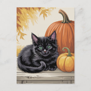 Moderne trendige Halloween-Kürbisse und schwarze K Postkarte