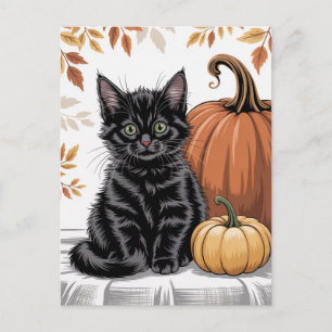 Moderne trendige Halloween-Kürbisse und schwarze K Postkarte