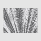 Moderne tropische Schwarzweiss-Palmwedel Seidenpapier (Vorderseite)