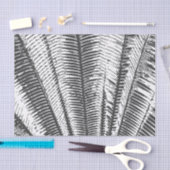 Moderne tropische Schwarzweiss-Palmwedel Seidenpapier (Handwerk)