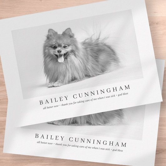 Moderne und einfache Fotos dank Vet Nurses Dankeskarte