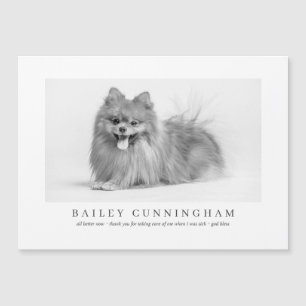 Moderne und einfache Fotos dank Vet Nurses Magnetkarte