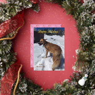 Moderne vertikale Weihnachtskarte mit Hundemotiv u Folien Feiertagskarte