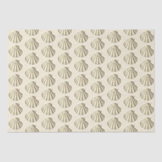 Moderne Vintage Beige-Braun-Muscheln auf Creme Seidenpapier (Vorderseite)