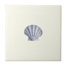 Moderne Vintage Blue Sea-Muschel auf Elfenbein Fliese
