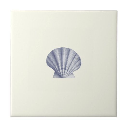 Moderne Vintage Blue Sea-Muschel auf Elfenbein Fliese (Vorderseite)