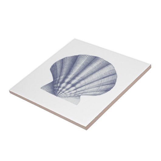 Moderne Vintage Blue Sea Muschel Fliese (Seite)