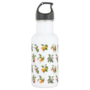 moderne Vintage botanische Früchte Edelstahlflasche