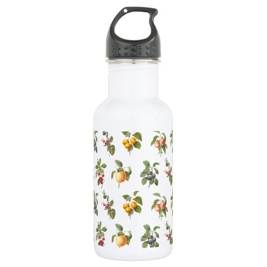 moderne Vintage botanische Früchte Edelstahlflasche (Vorderseite)