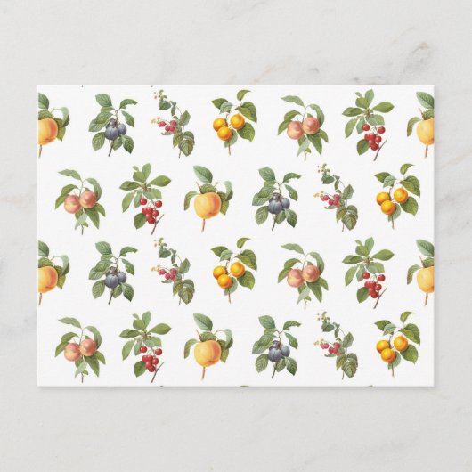 moderne Vintage botanische Früchte Postkarte (Vorderseite)