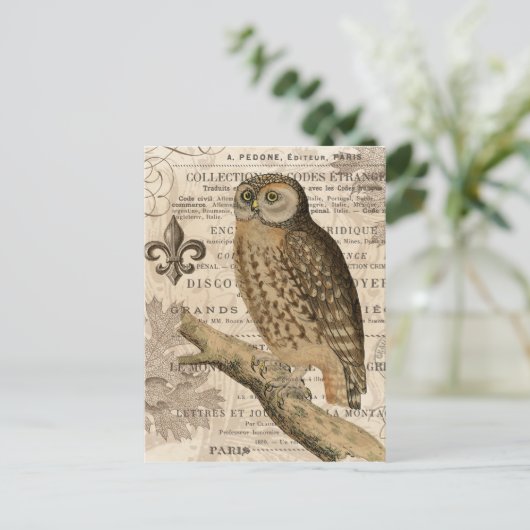 moderne Vintage Eule Postkarte (Stehend Vorderseite)