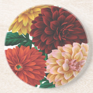 Moderne Vintage Falldahlien Sandstein Untersetzer