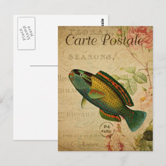 Moderne Vintage Fischcollage Postkarte (Vorne/Hinten)