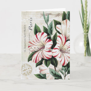 moderne Vintage französische Amaryliden Feiertagskarte