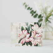 moderne Vintage französische Amaryliden Postkarte (Stehend Vorderseite)