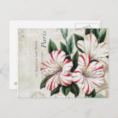 moderne Vintage französische Amaryliden Postkarte (Vorne/Hinten)