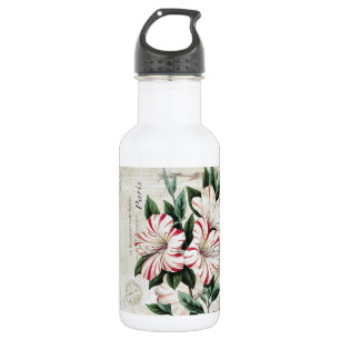 moderne Vintage französische Amaryliden Trinkflasche
