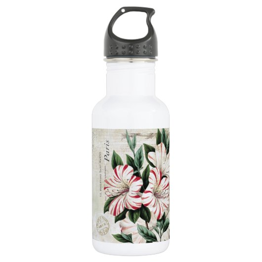 moderne Vintage französische Amaryliden Trinkflasche (Vorderseite)