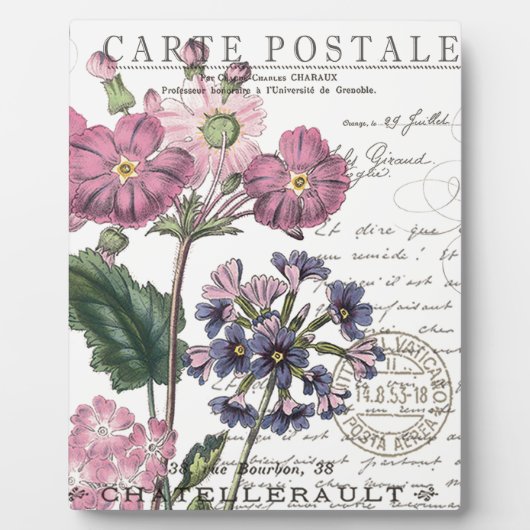 moderne Vintage französische Blüte Fotoplatte (Vorderseite)