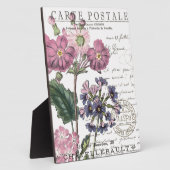 moderne Vintage französische Blüte Fotoplatte (Seite)