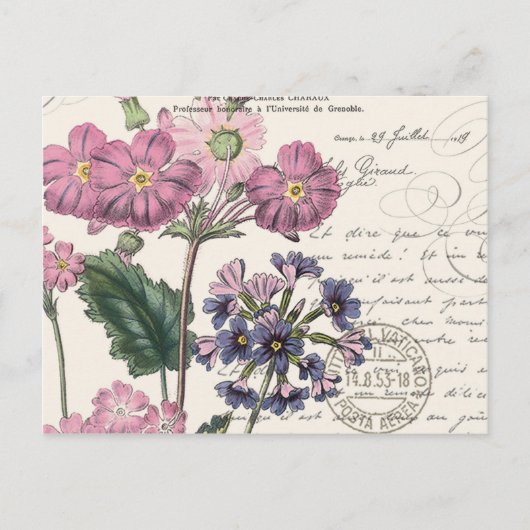 moderne Vintage französische Blüte Postkarte (Vorderseite)