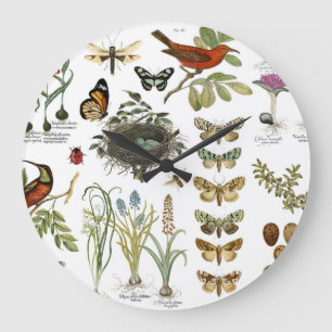 moderne Vintage französische botanische Vögel und  Große Wanduhr