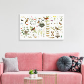 moderne Vintage französische botanische Vögel und  Leinwanddruck (Insitu (Wohnzimmer))