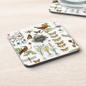 moderne Vintage französische botanische Vögel und Untersetzer (Linke Seite)