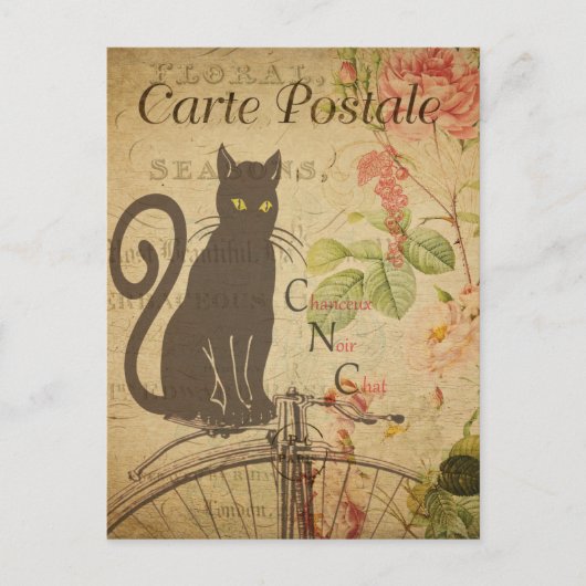 Moderne Vintage französische Katzenkollektion Post Postkarte (Vorderseite)