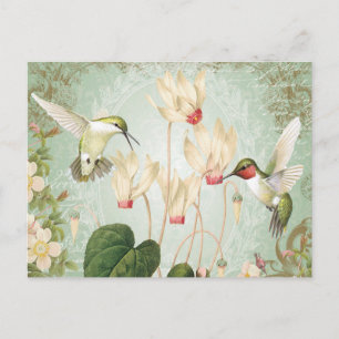 Moderne Vintage französische Kolibris Postkarte