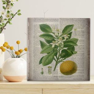 moderne vintage französische ländliche botanische fliese