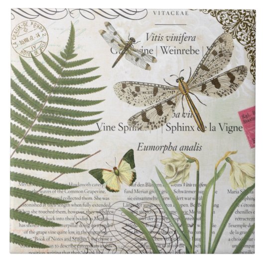 moderne Vintage französische Libelle Fliese (Vorderseite)