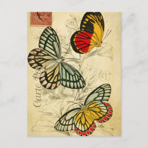 Moderne Vintage französische Schmetterlinge sammel Postkarte