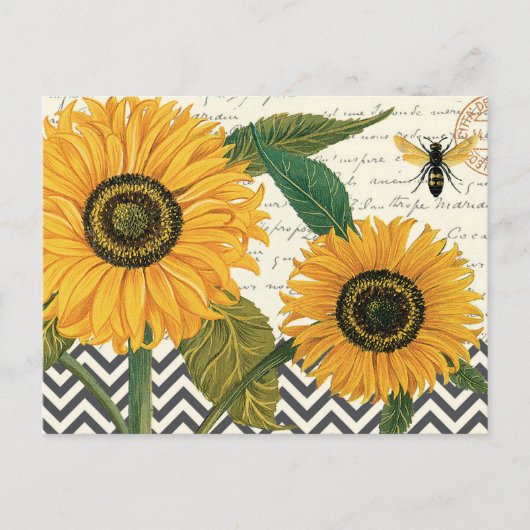moderne Vintage französische Sonnenblume Postkarte (Vorderseite)