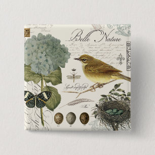 moderne vintage-französische Vogel- und Nestdarste Button