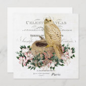 moderne Vintage französische Winterkauz Einladung (Vorne/Hinten)